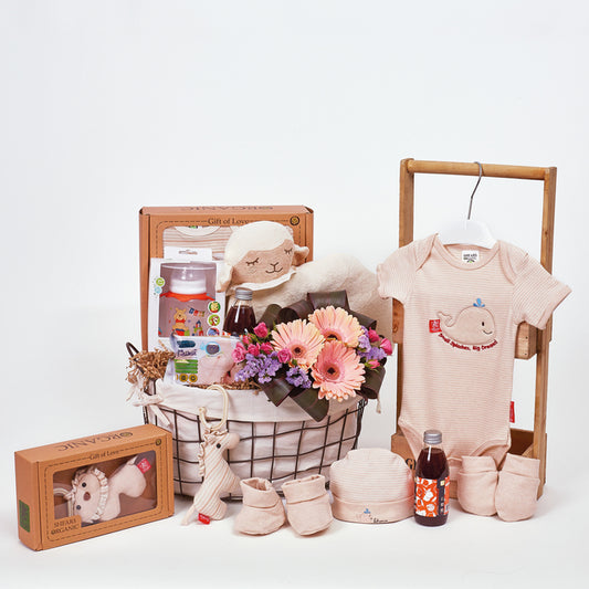 Organic Baby Essentials - Baby Hamper
