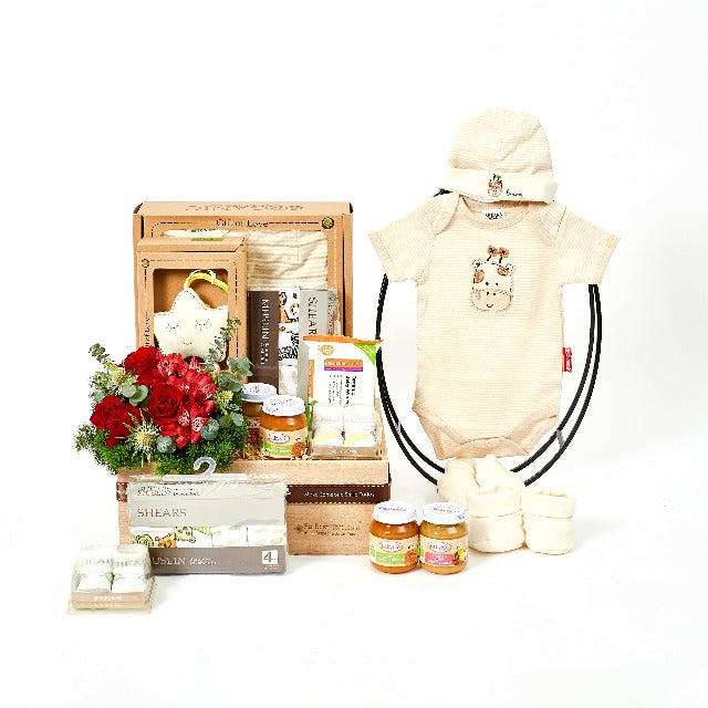 Baby Bliss Organic - Baby Hamper