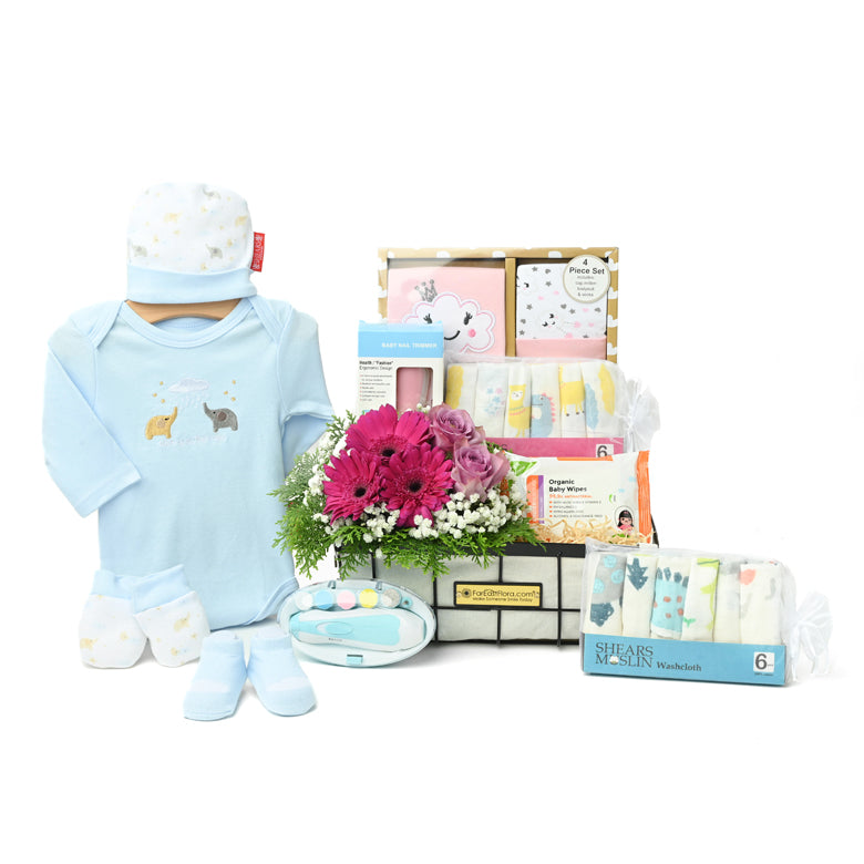 Tiny Treasures – Baby Hamper