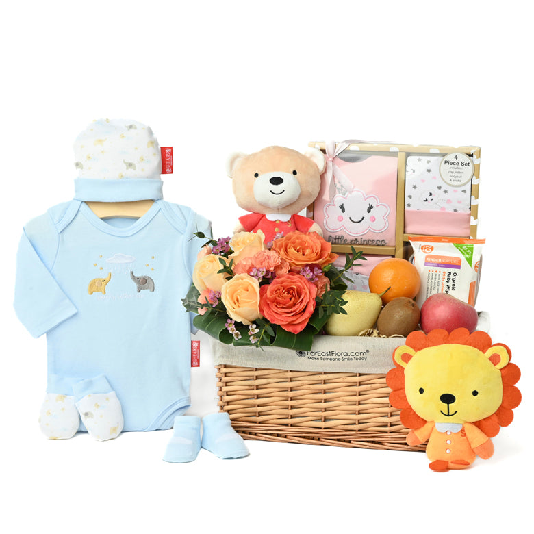 Teddy & Tots – Baby Hamper