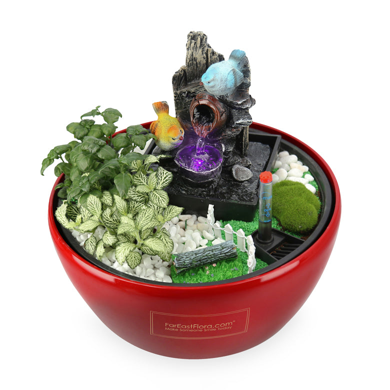 Garden On The Go - Table Fountain