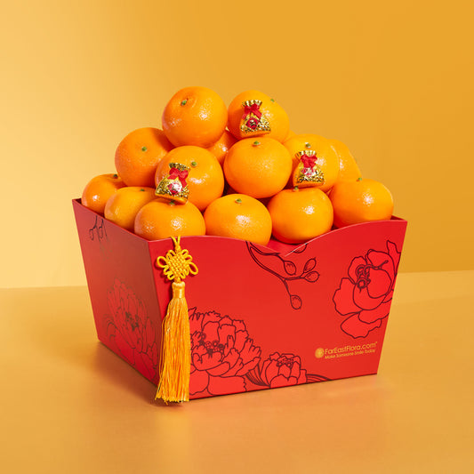 Prosperity Blossoms – Orange Hamper