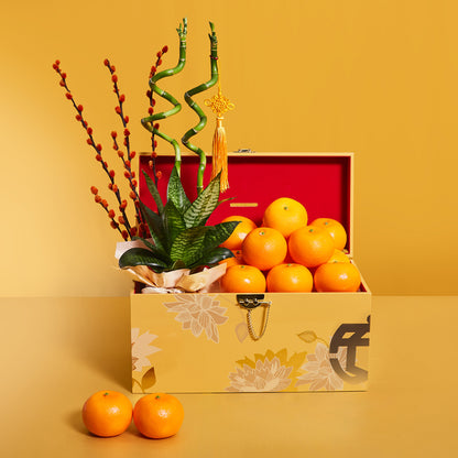 Bountiful Fortune – Orange Hamper