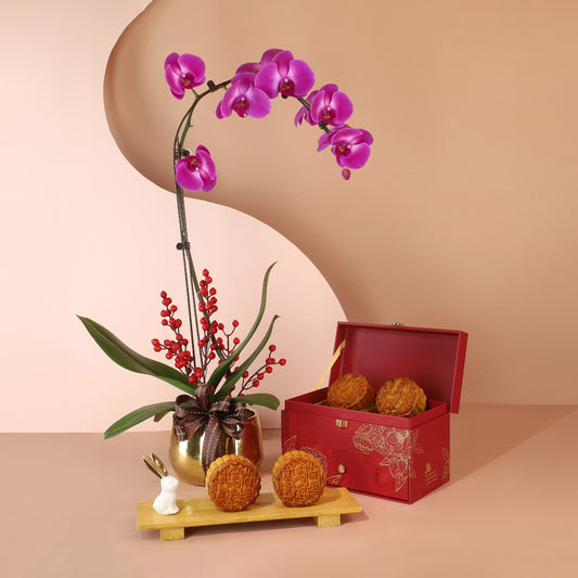 Marriott Baked Mooncakes & Phalaenopsis Gift Set