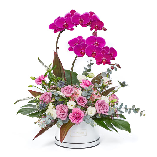 Eminence - Phalaenopsis Table Flowers