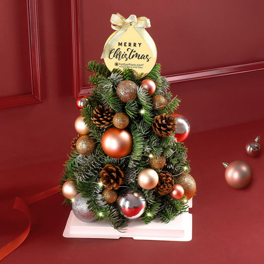 Holiday Joy - Mini Fresh Christmas Tree 30cm