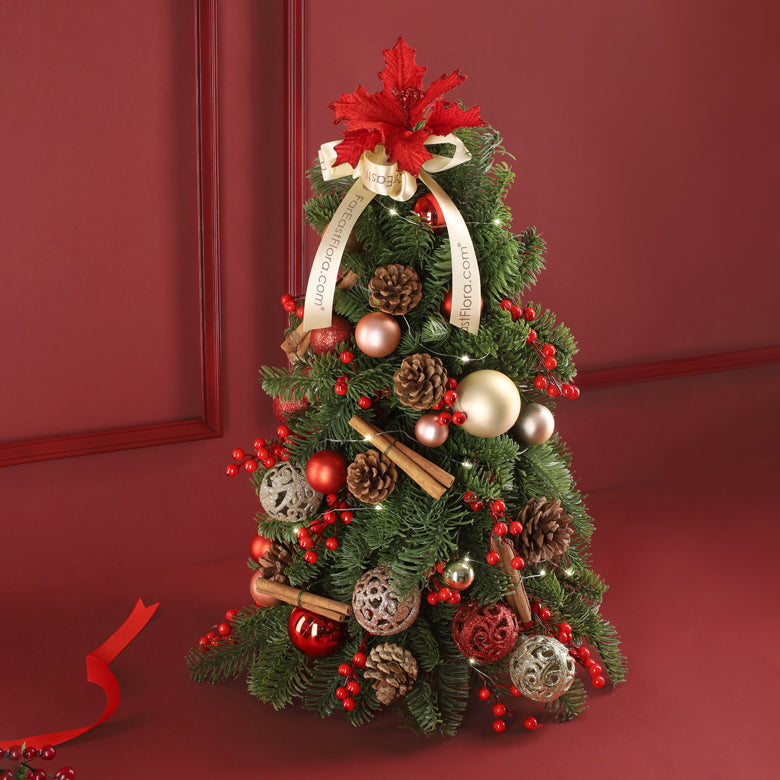 Wonders Of Christmas - Mini Fresh Christmas Tree 50cm