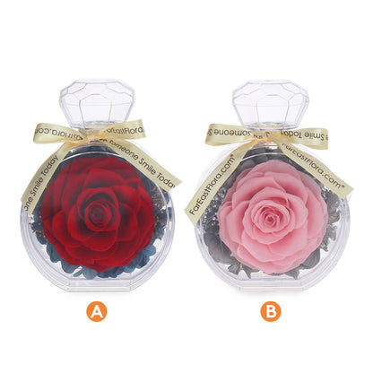 Floral Essence – Preserved Rose (5 Colours)