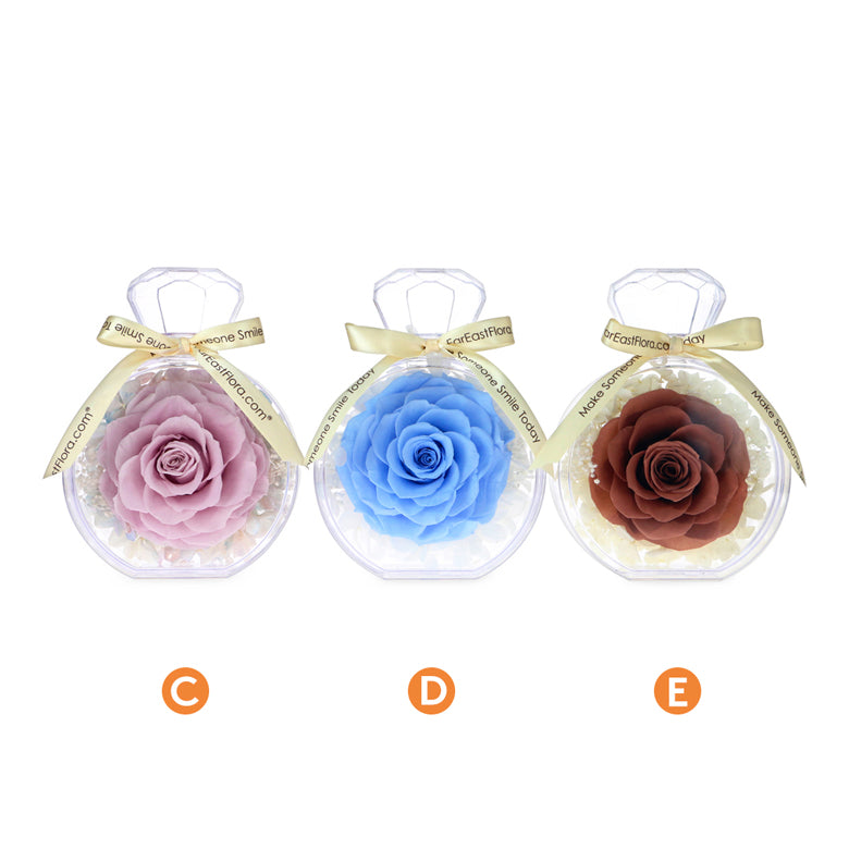 Floral Essence – Preserved Rose (5 Colours)