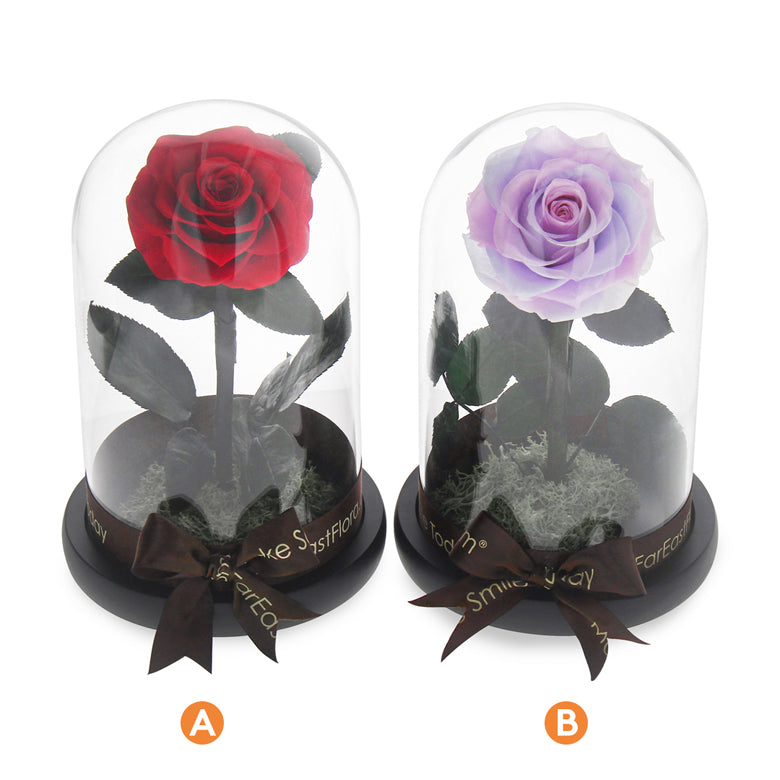 The Enchanted Rose – Preserved Rose